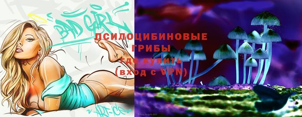 марки lsd Осинники