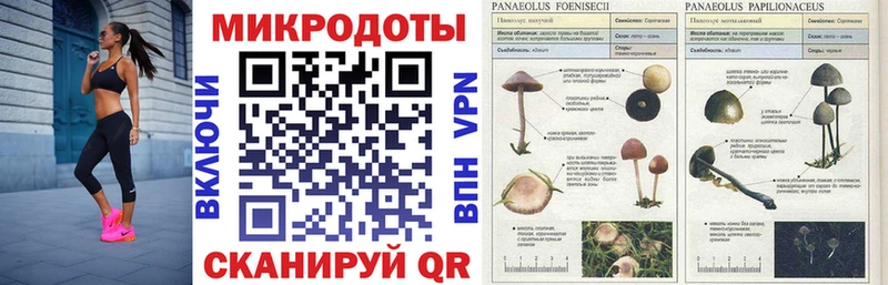Галлюциногенные грибы ЛСД  гидра tor  Ужур 